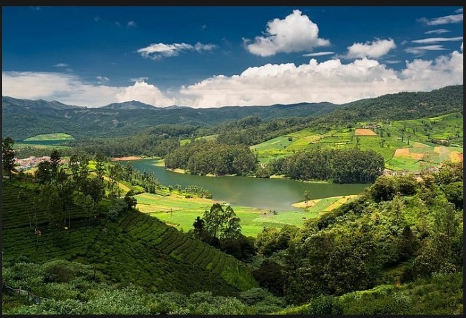 WhatsApp Image 2026-03-04 at 4.32.55 PM