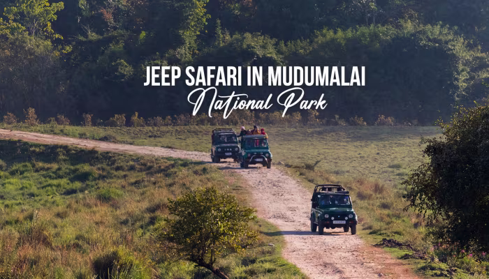 awv8jpkg21ni4akclpau